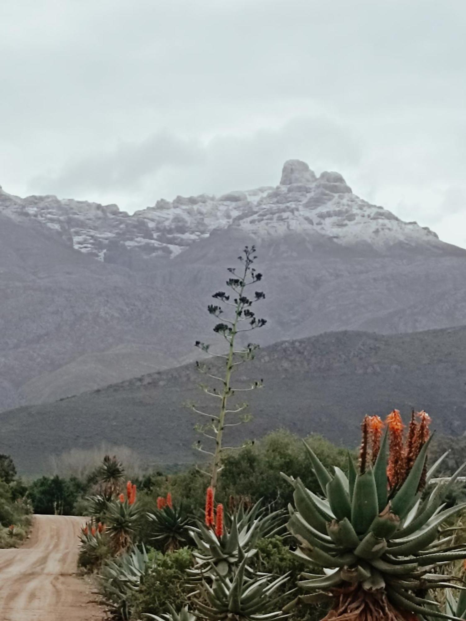 Sipreslaan Selfsorg Gastehuis Hotel Ladismith Kültér fotó